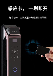 3D人臉全（quán）自動智能鎖-6591