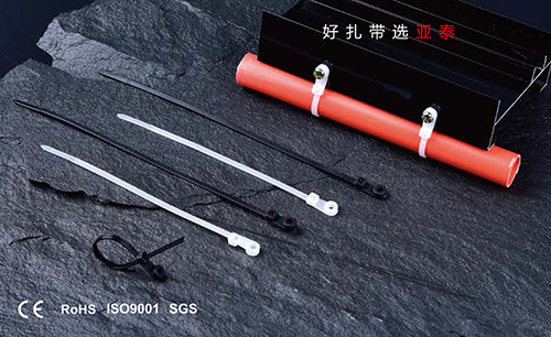 固定頭式尼（ní）龍（lóng）紮帶