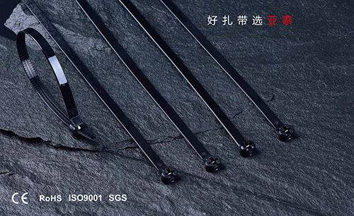 不（bú）鏽鋼（gāng）嵌片尼龍紮帶（船用）